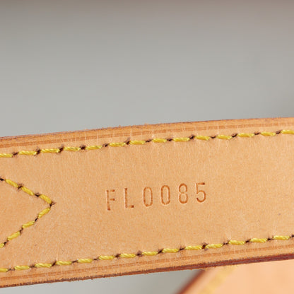 Louis Vuitton Denim Baggy PM Lichen 8 of 8