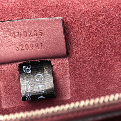 Gucci GG Supreme Monogram Blooms Medium Dionysus Shoulder Bag Beige Multicolor Dry Rose 7 of 10