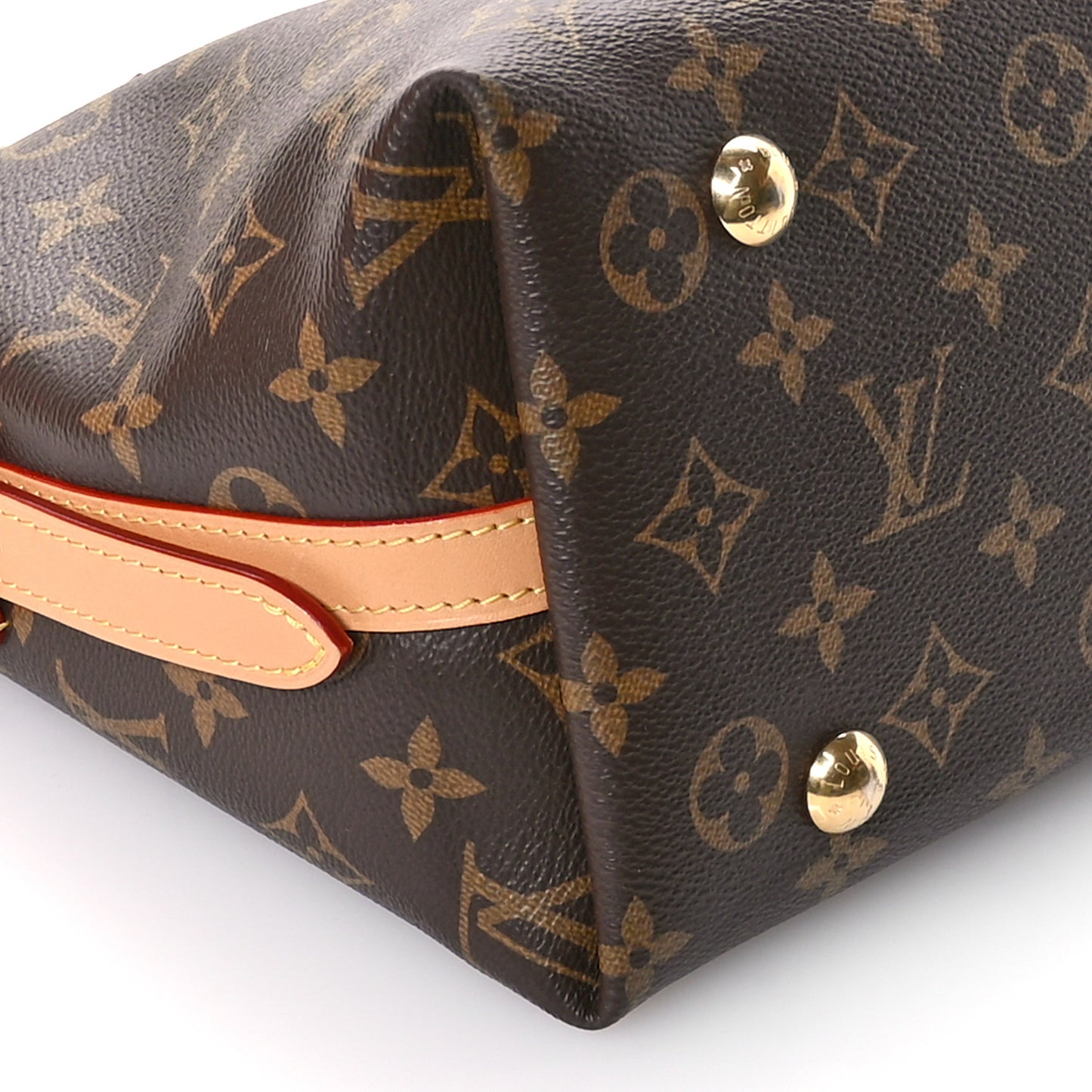 Monogram CarryAll PM