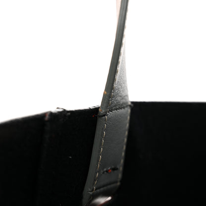 Celine Shiny Smooth Calfskin Small Twisted Cabas 20 of 22