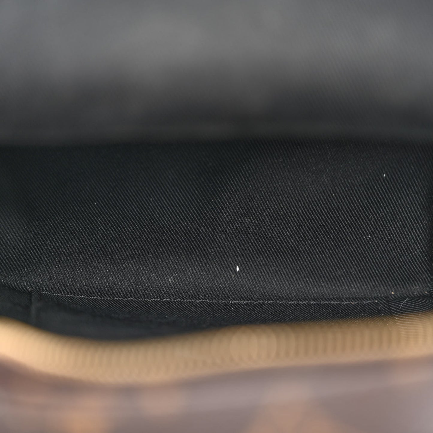 Monogram Palm Springs Backpack Mini