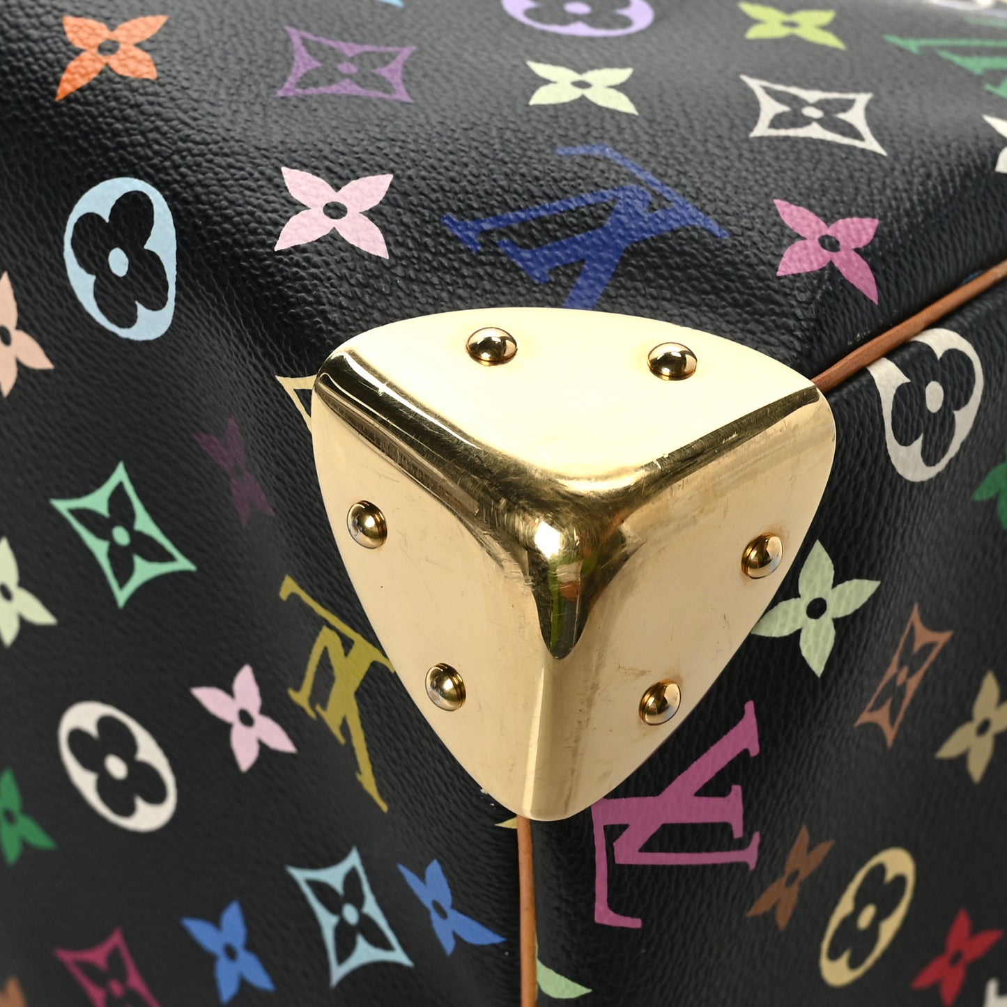 Monogram Multicolor Speedy 30 Black