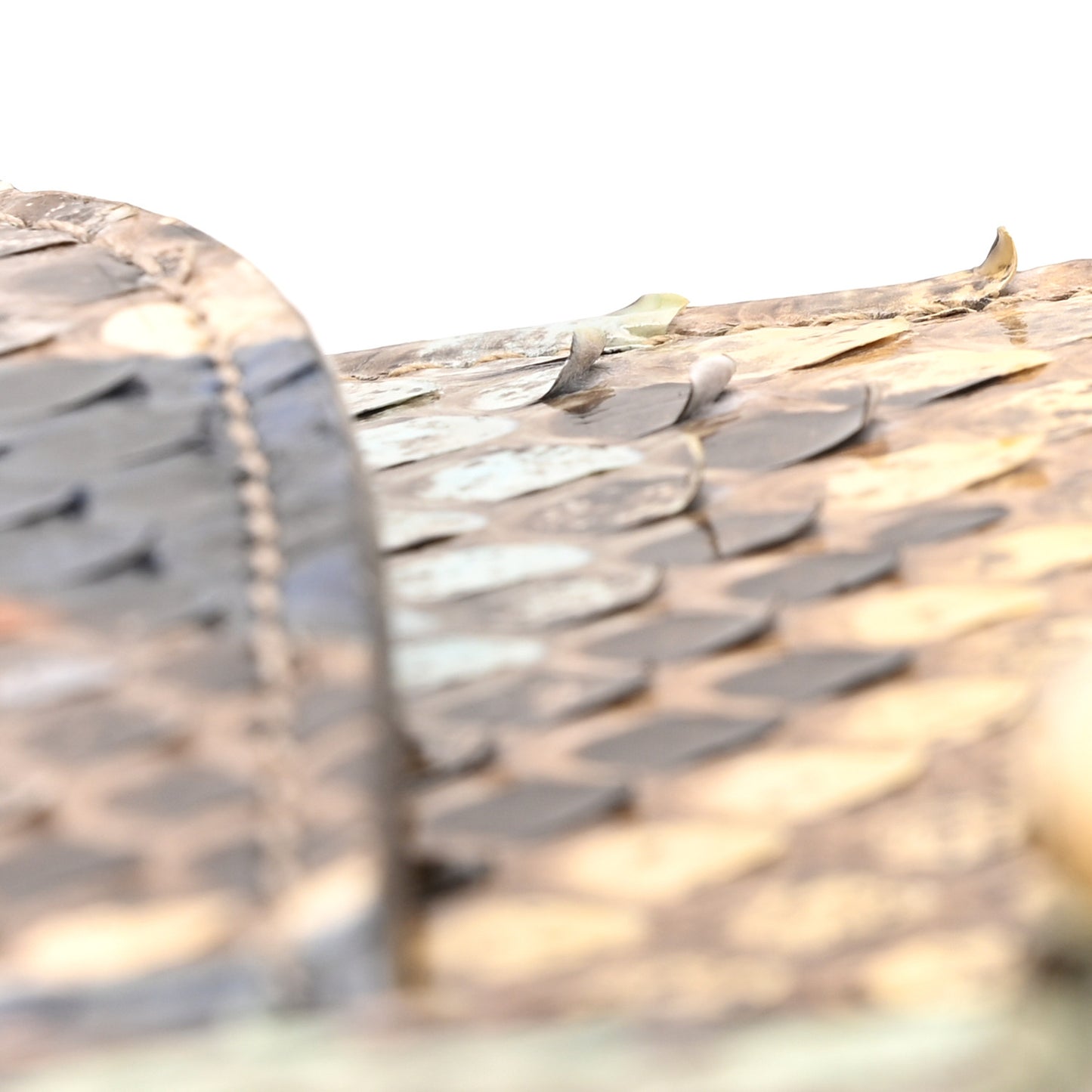 Snakeskin Horsebit 1955 Shoulder Bag Multicolor