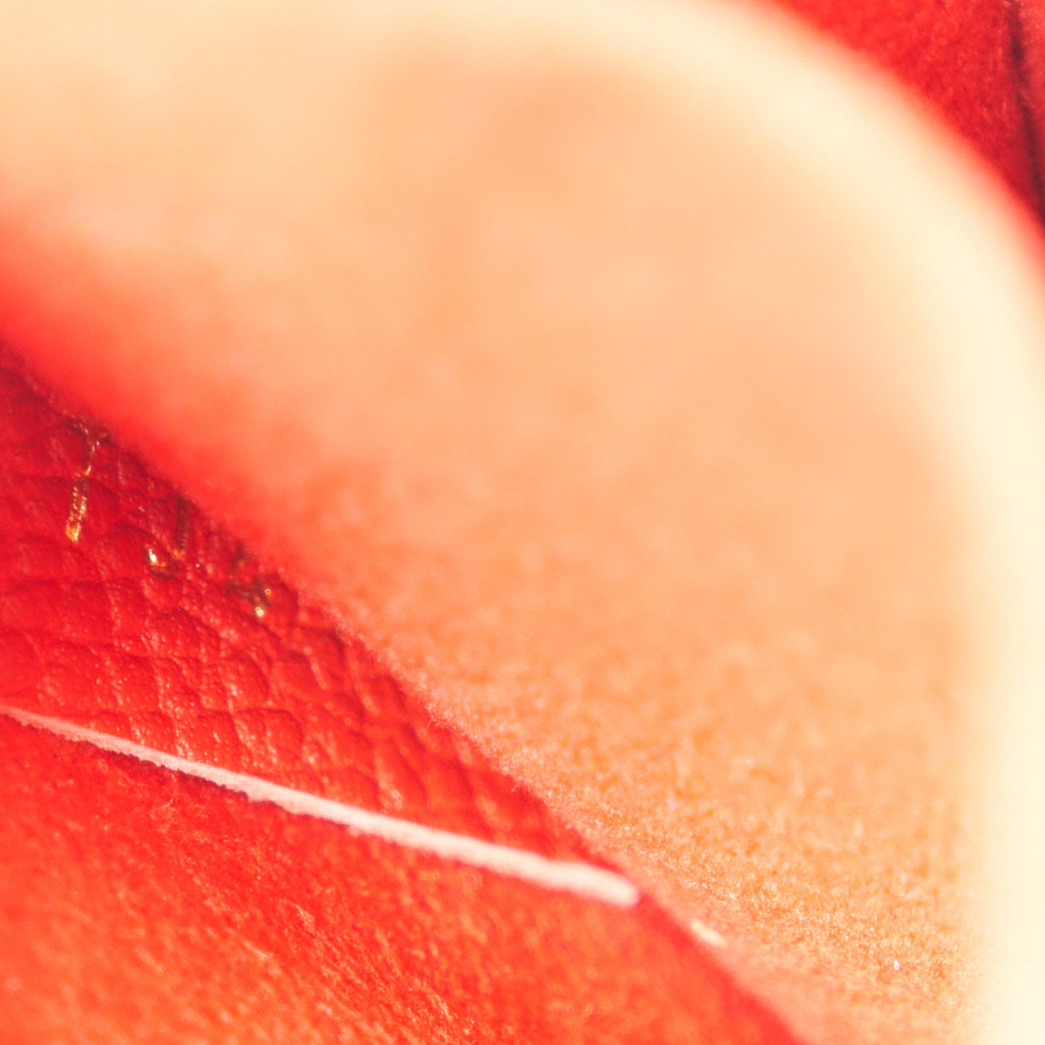 Louis Vuitton Empreinte Saint Sulpice PM Cherry 7 of 11