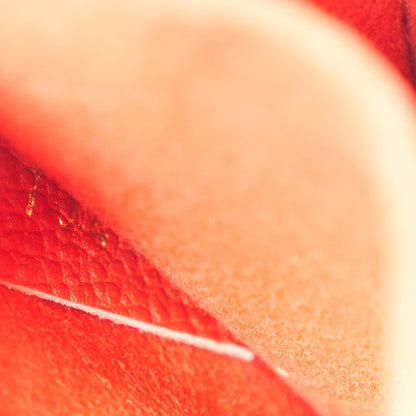 Louis Vuitton Empreinte Saint Sulpice PM Cherry 7 of 11