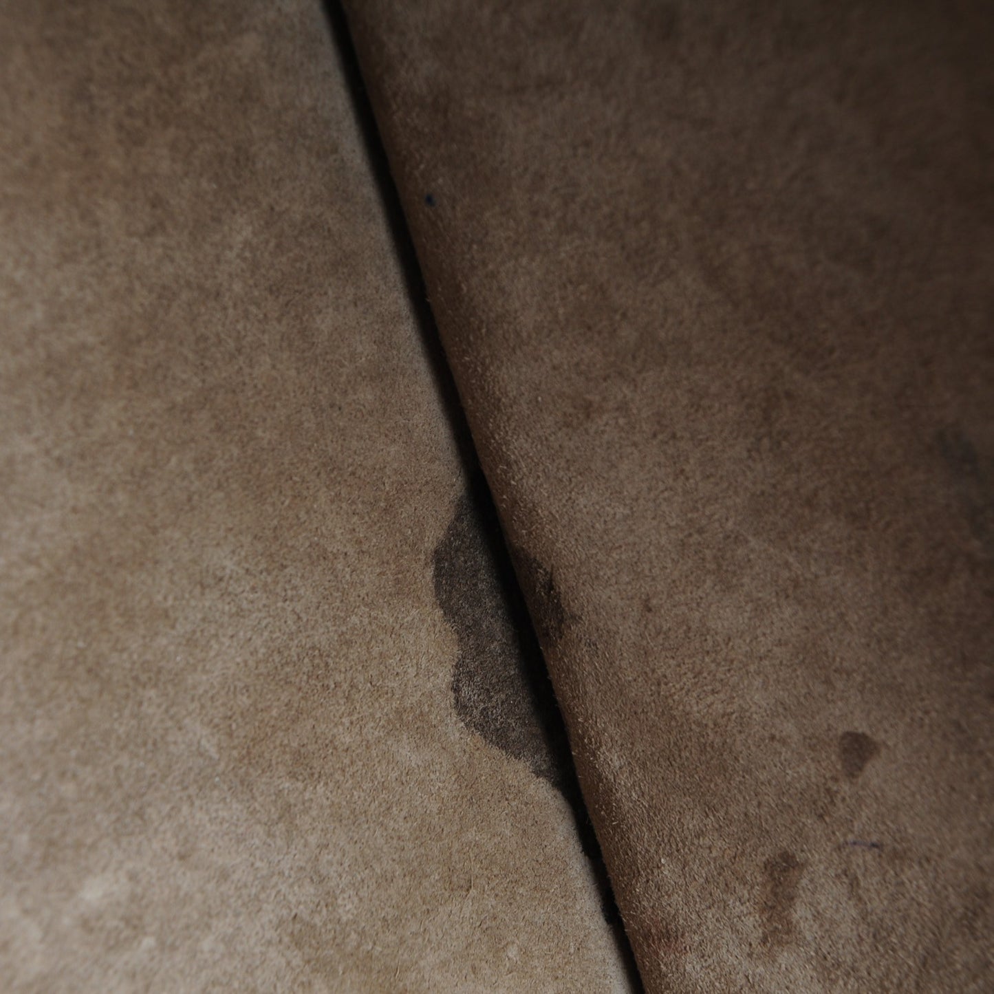 Bullhide Medium Phantom Luggage Taupe