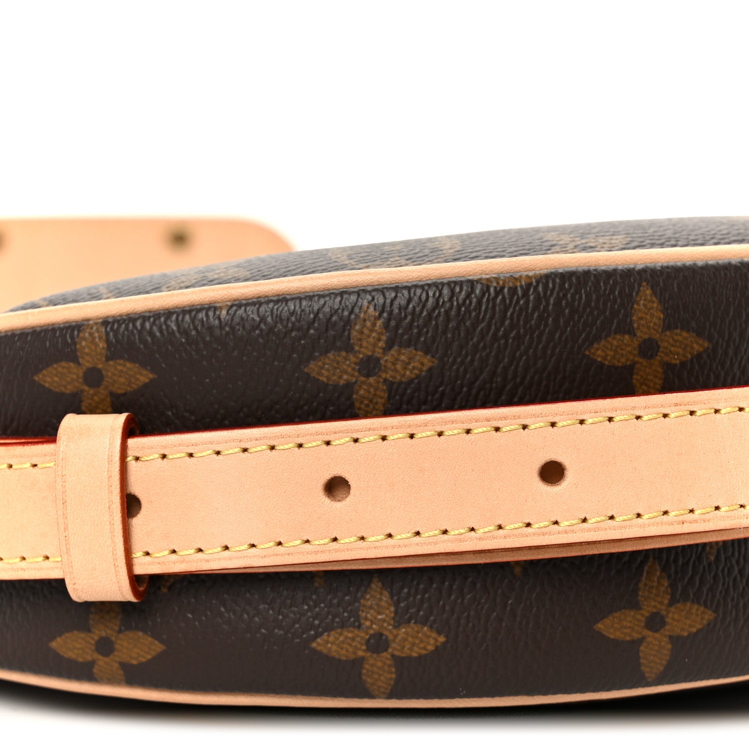 Louis Vuitton Monogram Croissant MM NM 12 of 13