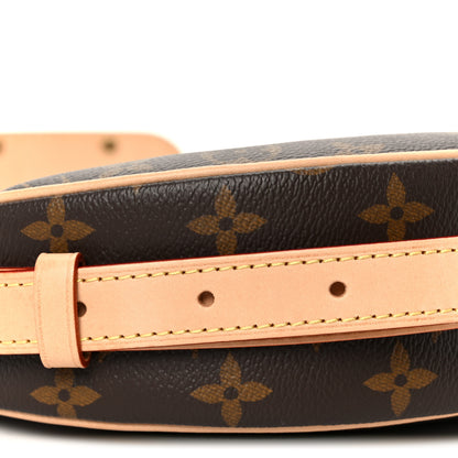 Louis Vuitton Monogram Croissant MM NM 12 of 13