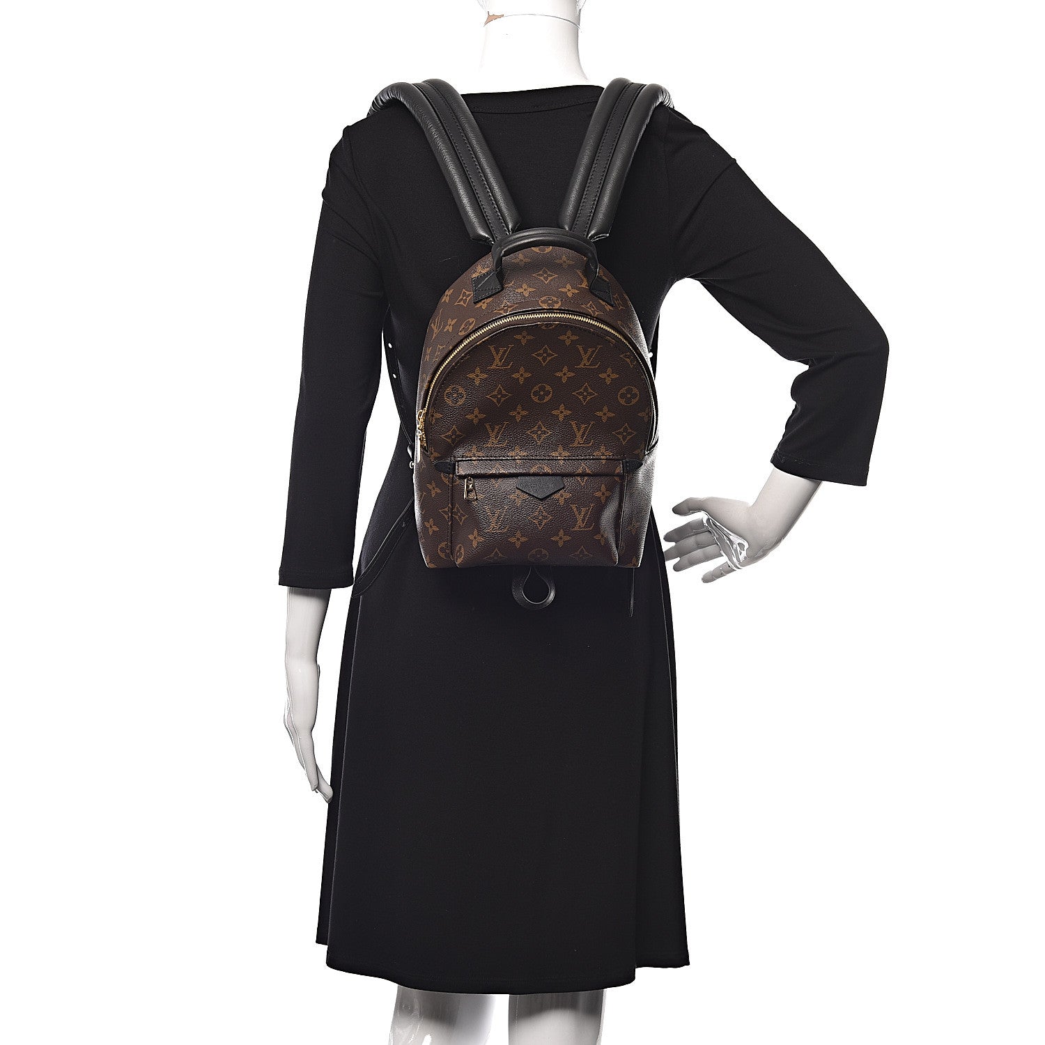 Louis Vuitton Monogram Palm Springs Backpack PM 2 of 11