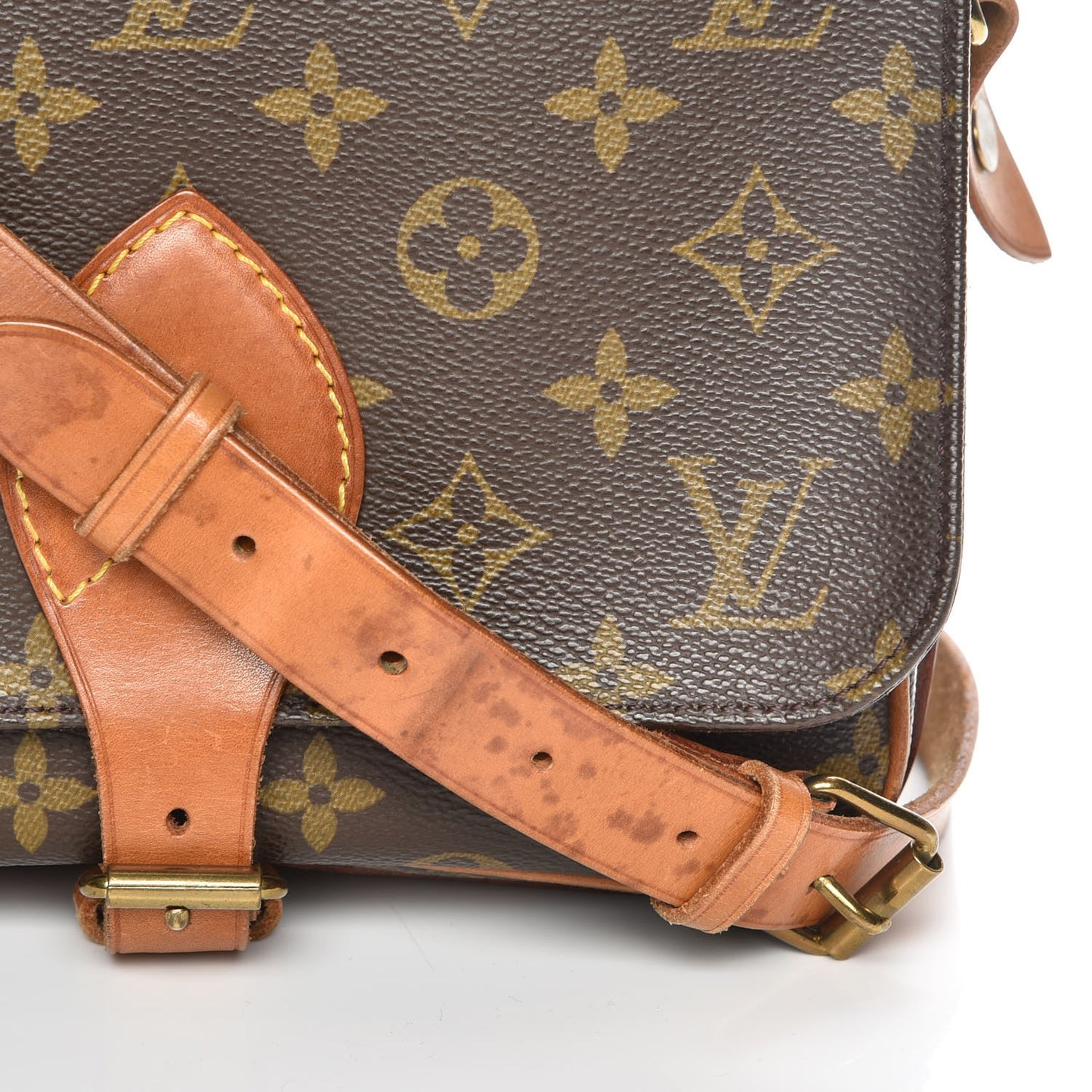 Monogram Cartouchiere 22