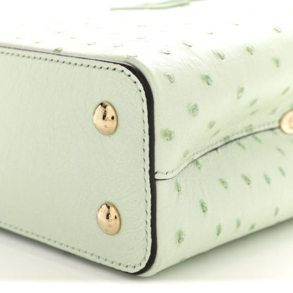 Louis Vuitton Ostrich Capucines Mini Vert Celadon 10 of 11