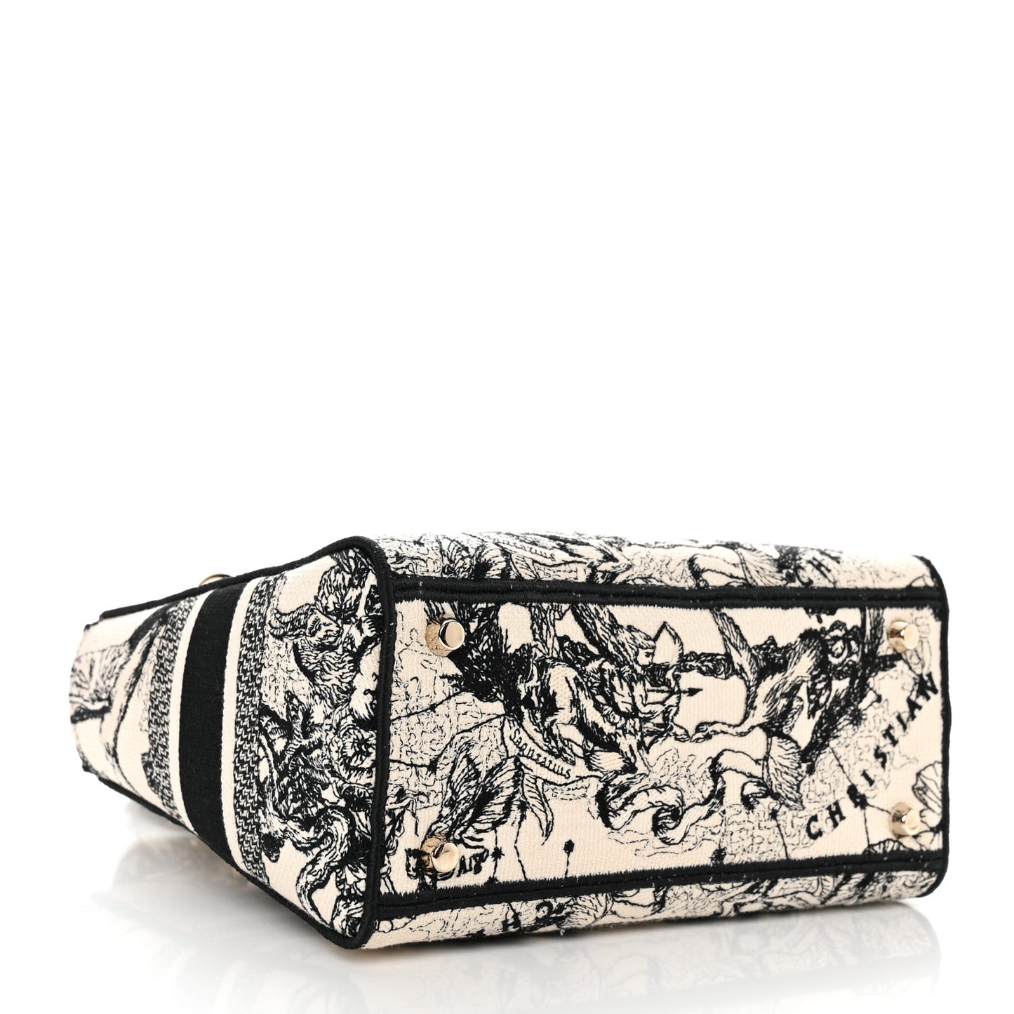 Canvas Embroidered Zodiac Toile De Jouy Medium Lady D-Lite Latte