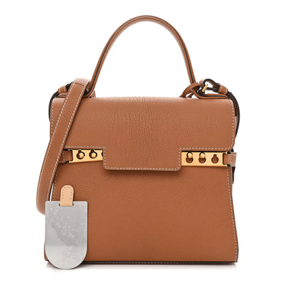 Delvaux Crispy Calfskin Mini Tempete Satchel Vegetal 1 of 10
