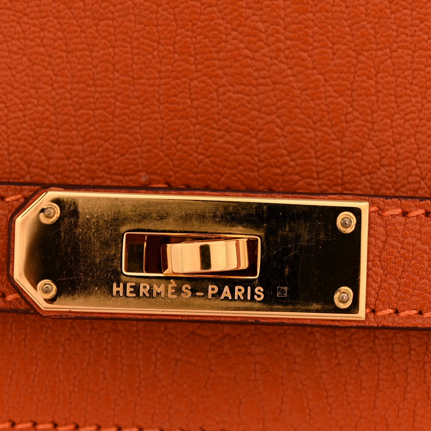 Chevre de Coromandel Birkin 35 Potiron