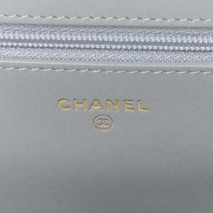 Chanel Caviar Quilted Boy Wallet On Chain WOC Grey 6 of 11
