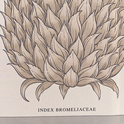 Hermes Silk Index Bromeliaceae Scarf 90 Gris Argent Bleu Vert Amande 4 of 5