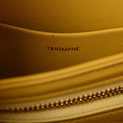 Celine Lizard Teen Triomphe Ochre 7 of 13
