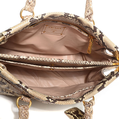 Prada Python Frame Bag Roccia 6 of 10