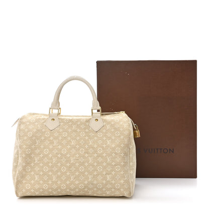 Louis Vuitton Mini Lin Speedy 30 Dune 15 of 15