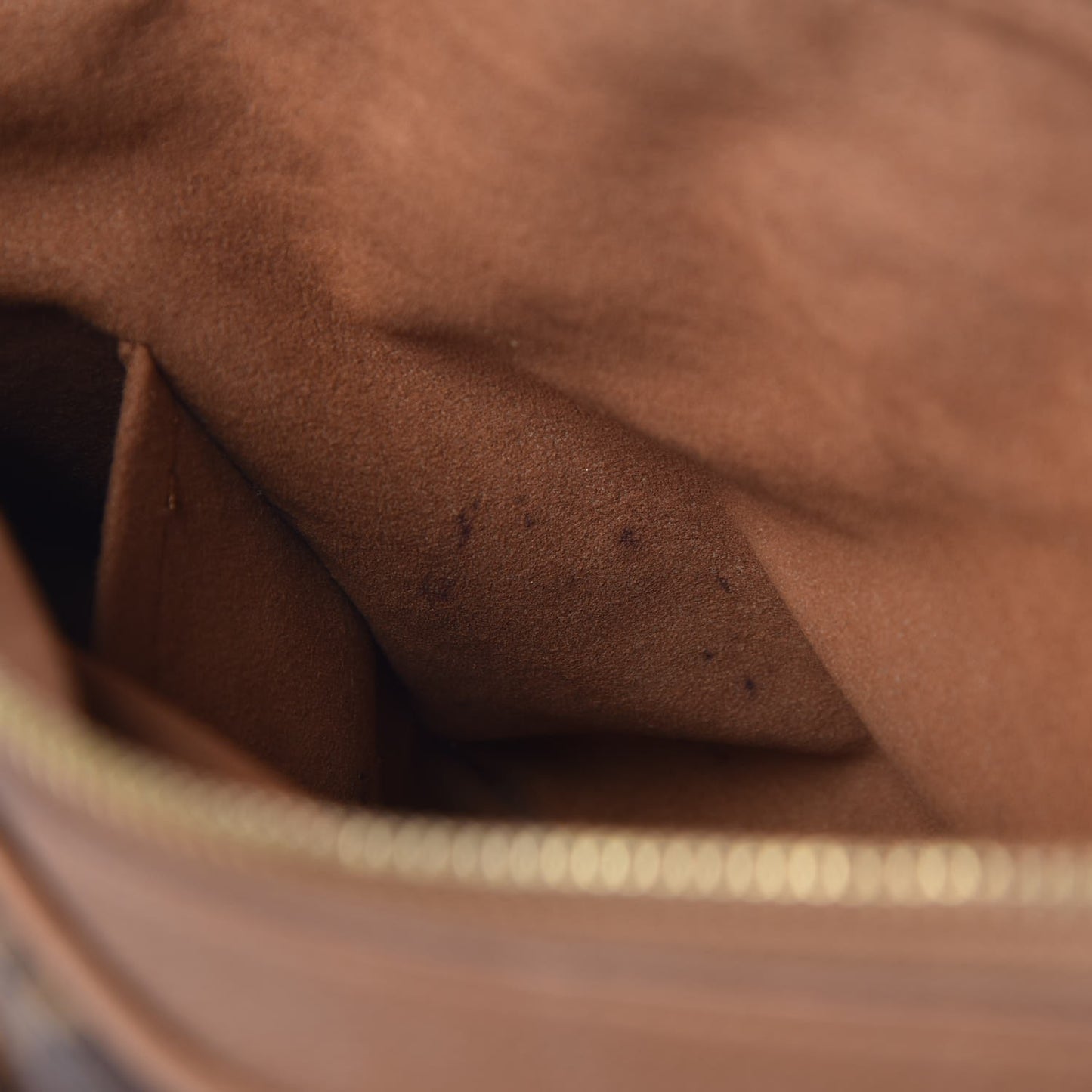 Monogram Pallas Havane