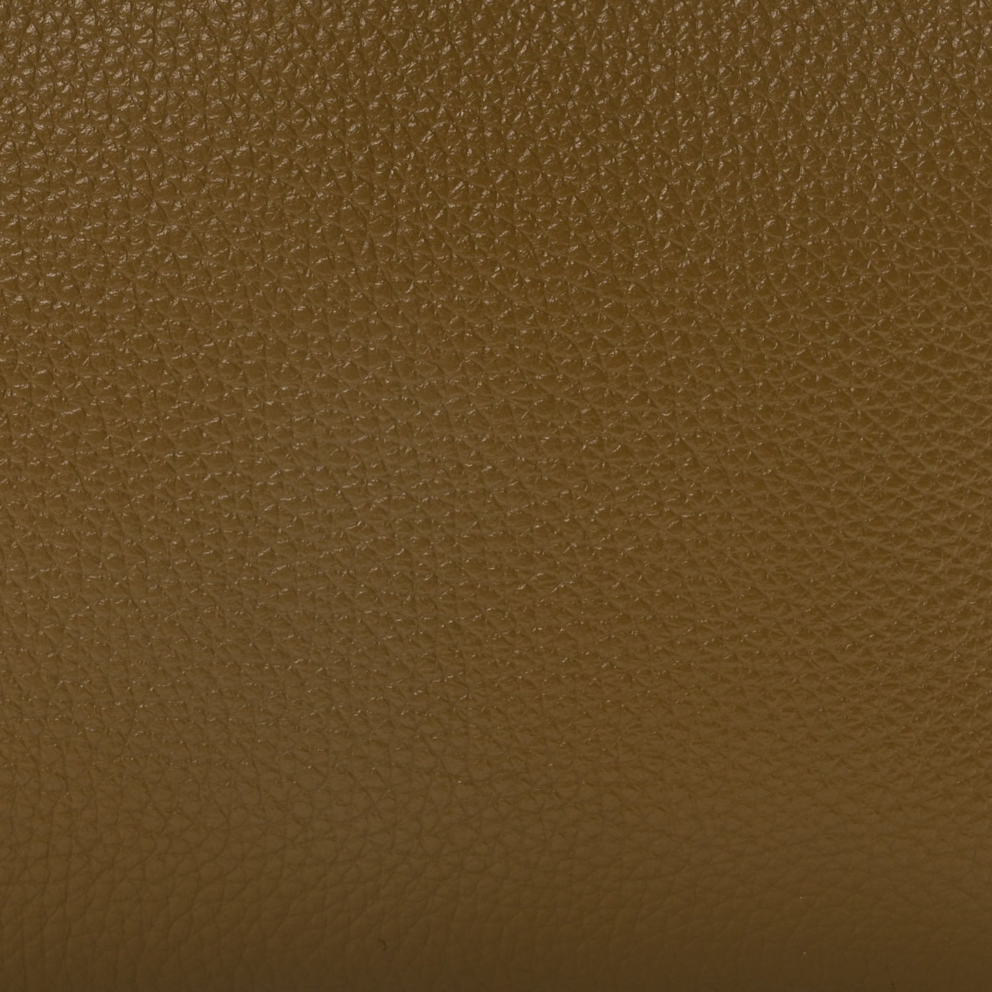 Soft Grained Calfskin Mini Camera Bag Khaki Green