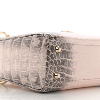 Christian Dior Niloticus Crocodile Himalaya Mini Lady Dior Rose 9 of 10