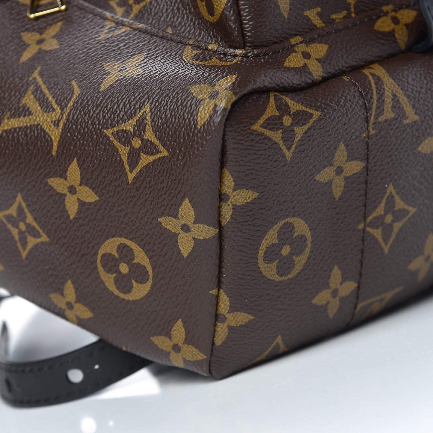 Monogram Palm Springs Backpack PM