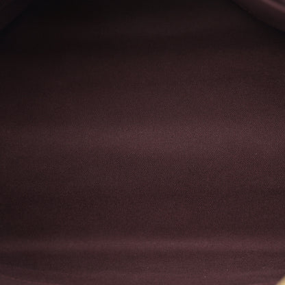 Louis Vuitton Damier Ebene Iena MM 5 of 10