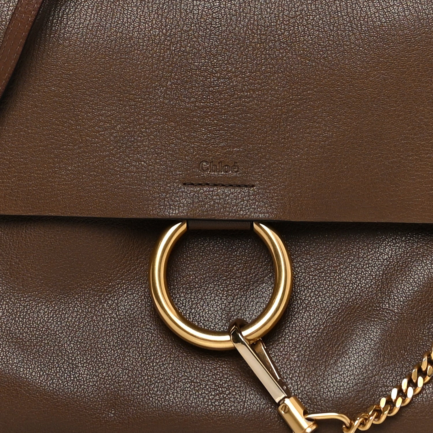 Chloe Goatskin Medium Faye Shoulder Bag Woody Khaki 6 of 13