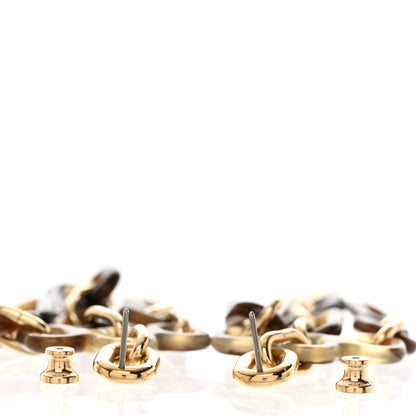 Hermes Permabrass Buffalo Horn Resille Earrings 3 of 5