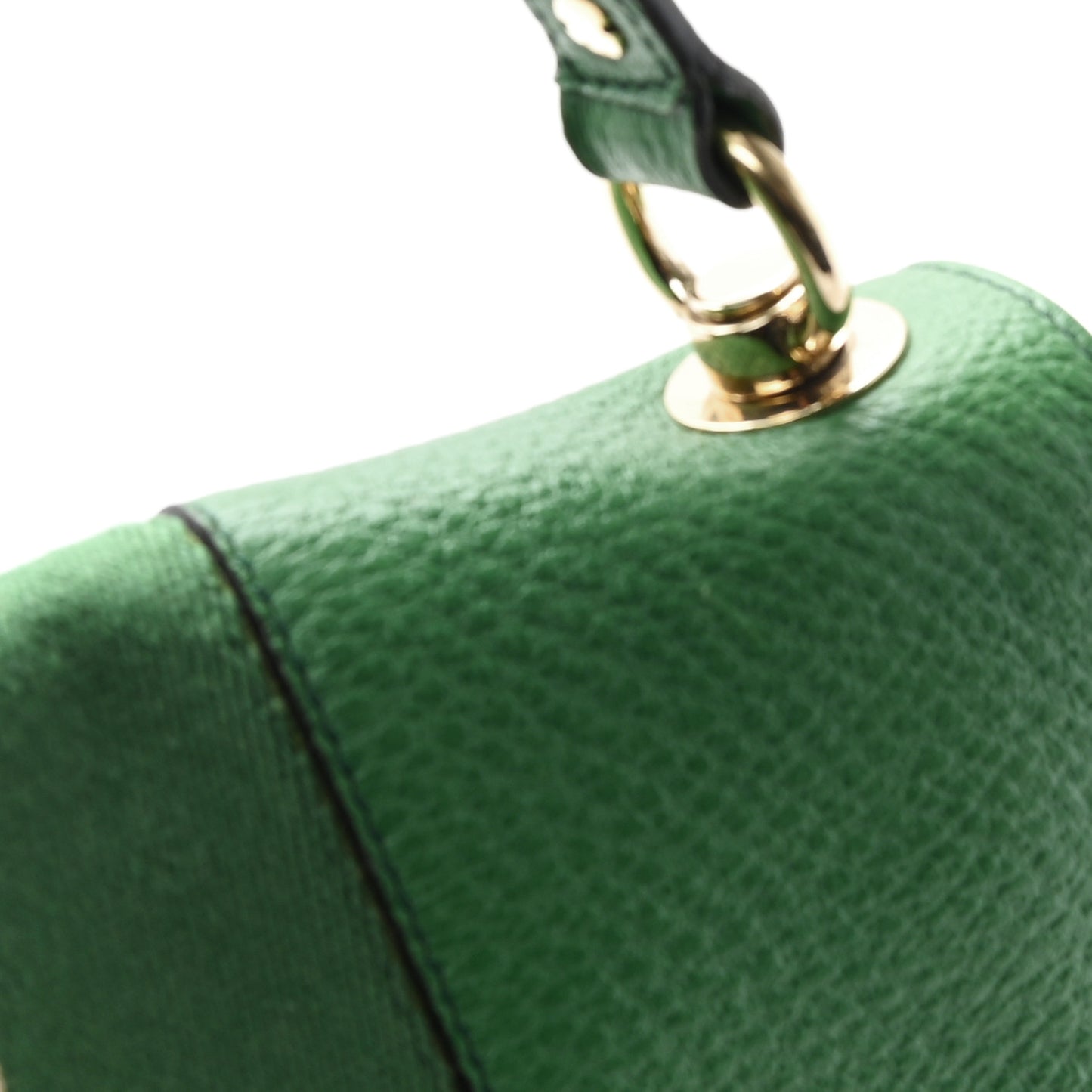 Pebbled Calfskin Web Blondie Hobo Green