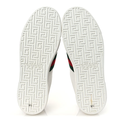 Gucci Calfskin Crocodile Web Womens Ace Sneakers 39.5 White Green 7 of 12