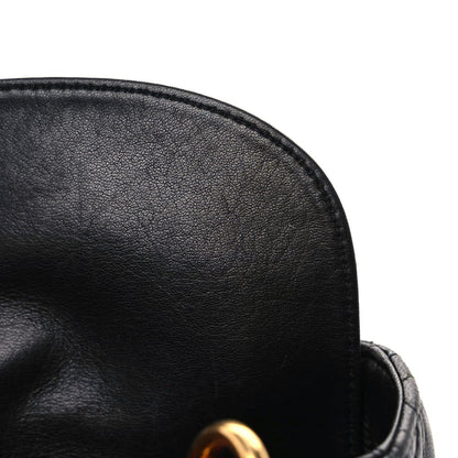 Christian Dior Lambskin Cannage Mini Lady Dior Black 17 of 18