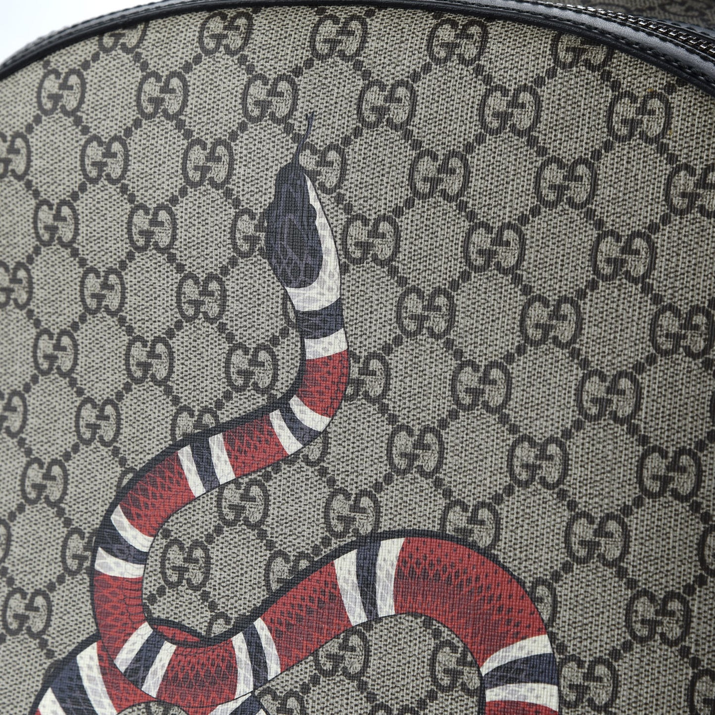 GG Supreme Monogram Kingsnake Dome Backpack