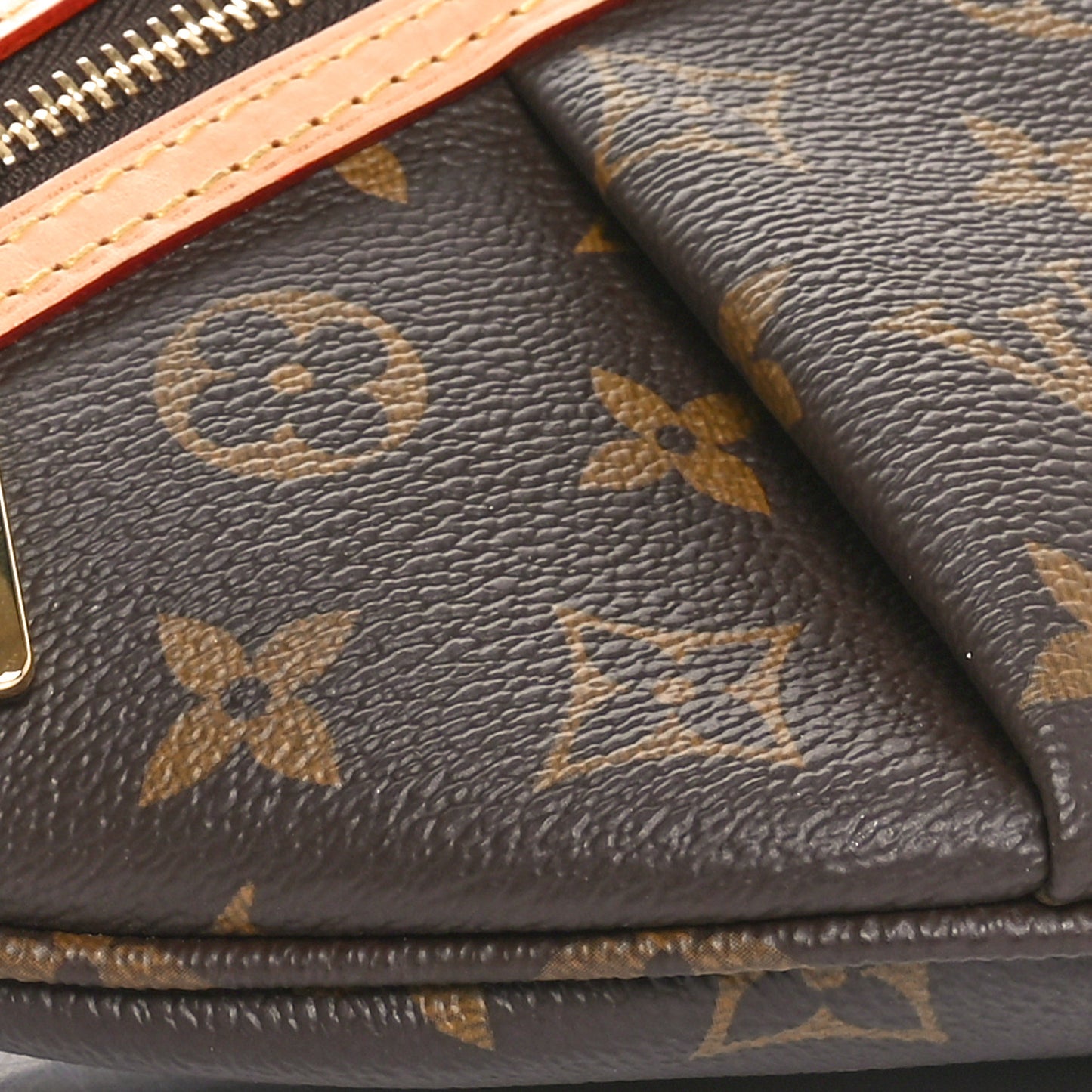 Monogram High Rise Bumbag