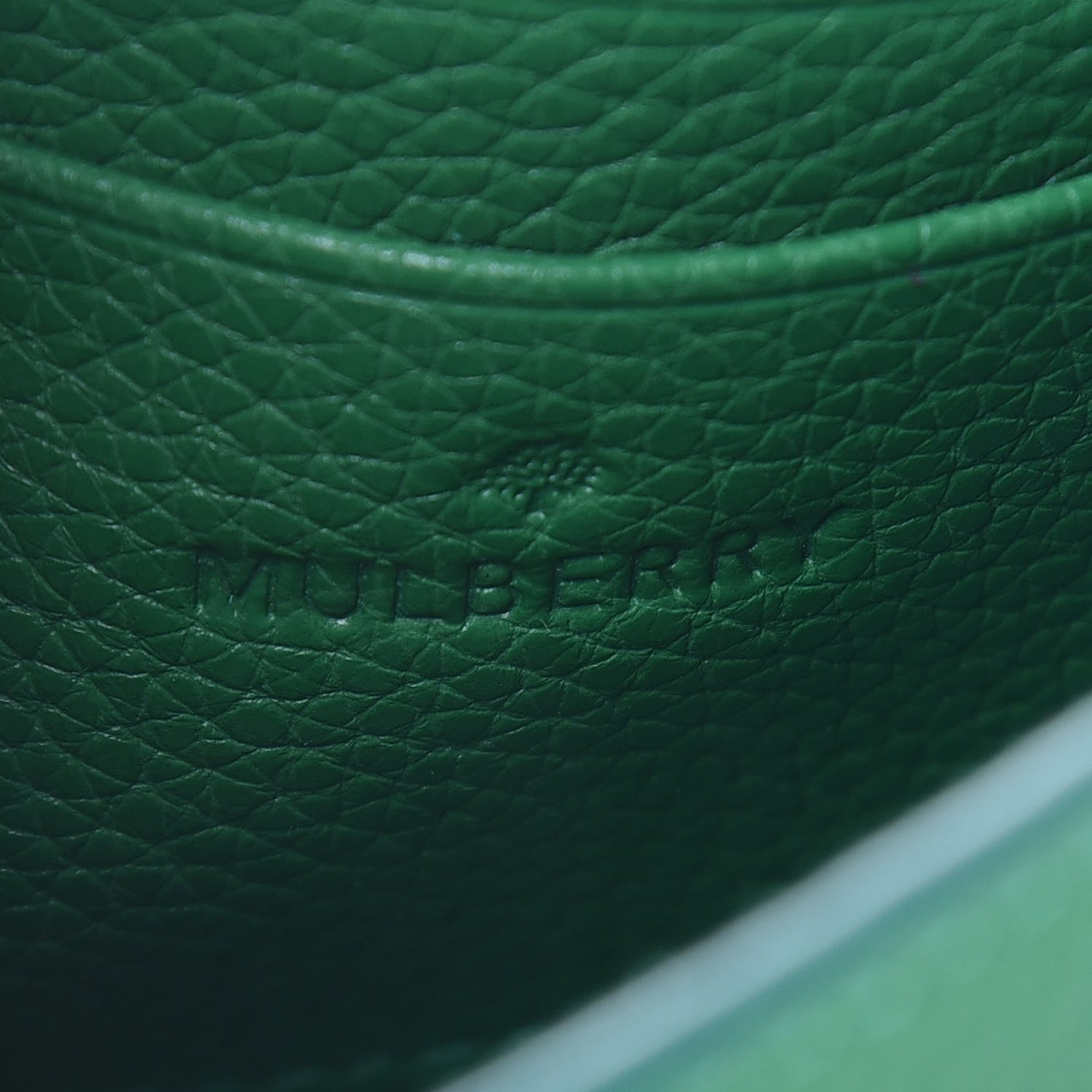 Mulberry Small Classic Grain Calfskin Mini Lily Jungle Green 6 of 11
