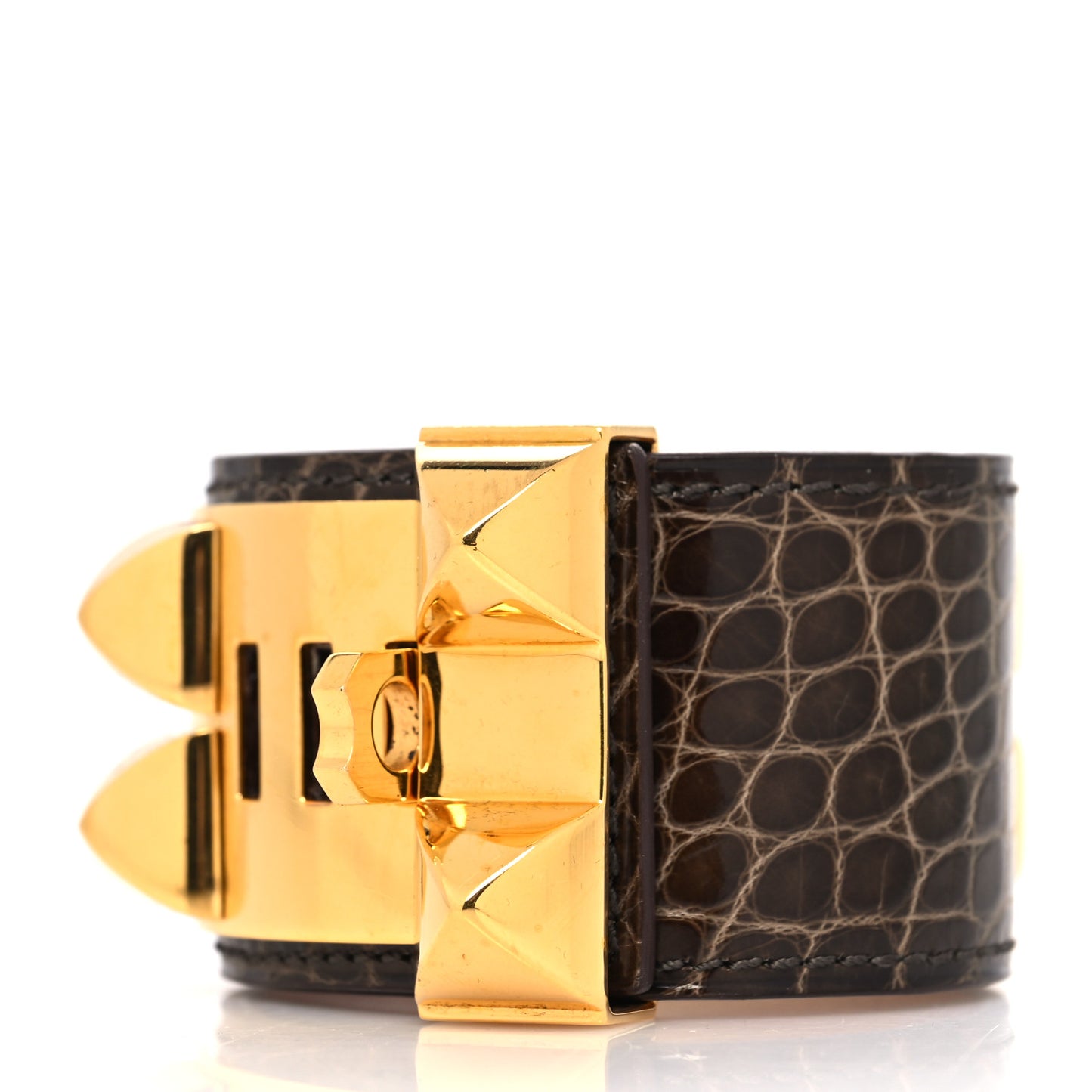 Shiny Alligator Collier De Chien CDC Bracelet L Havane