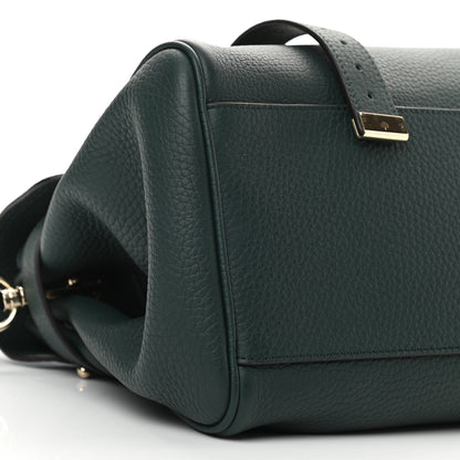 Mulberry Heavy Grain Medium Alexa Mulberry Green 8 of 9