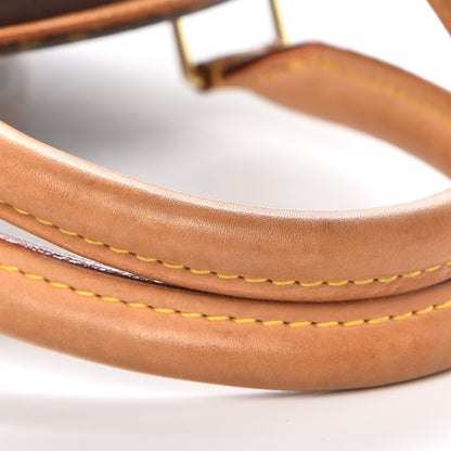 Louis Vuitton Monogram Ellipse PM 9 of 10