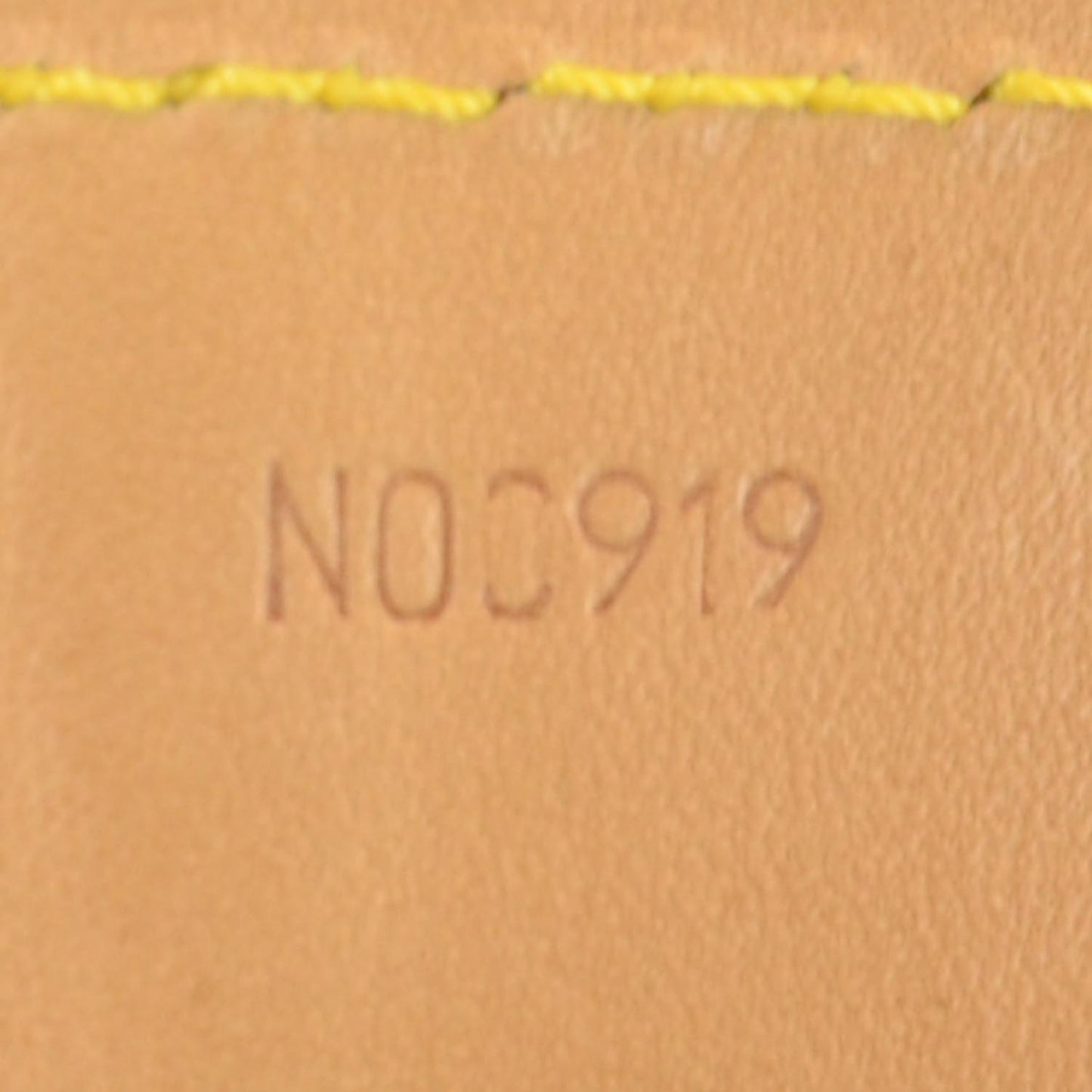 Monogram Sac Flanerie 45