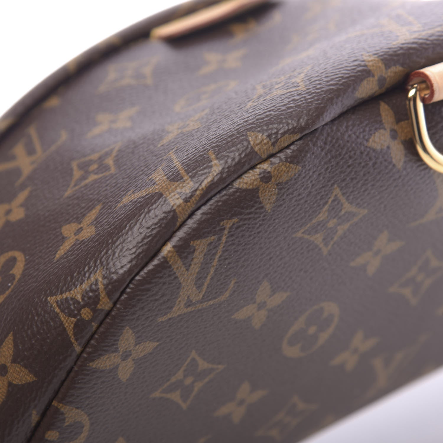 Louis Vuitton Monogram Bumbag 7 of 10