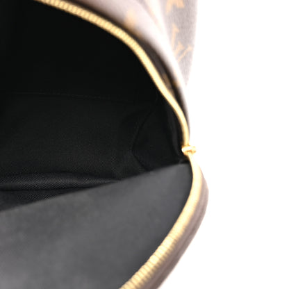 Louis Vuitton Monogram Palm Springs Backpack Mini 5 of 9