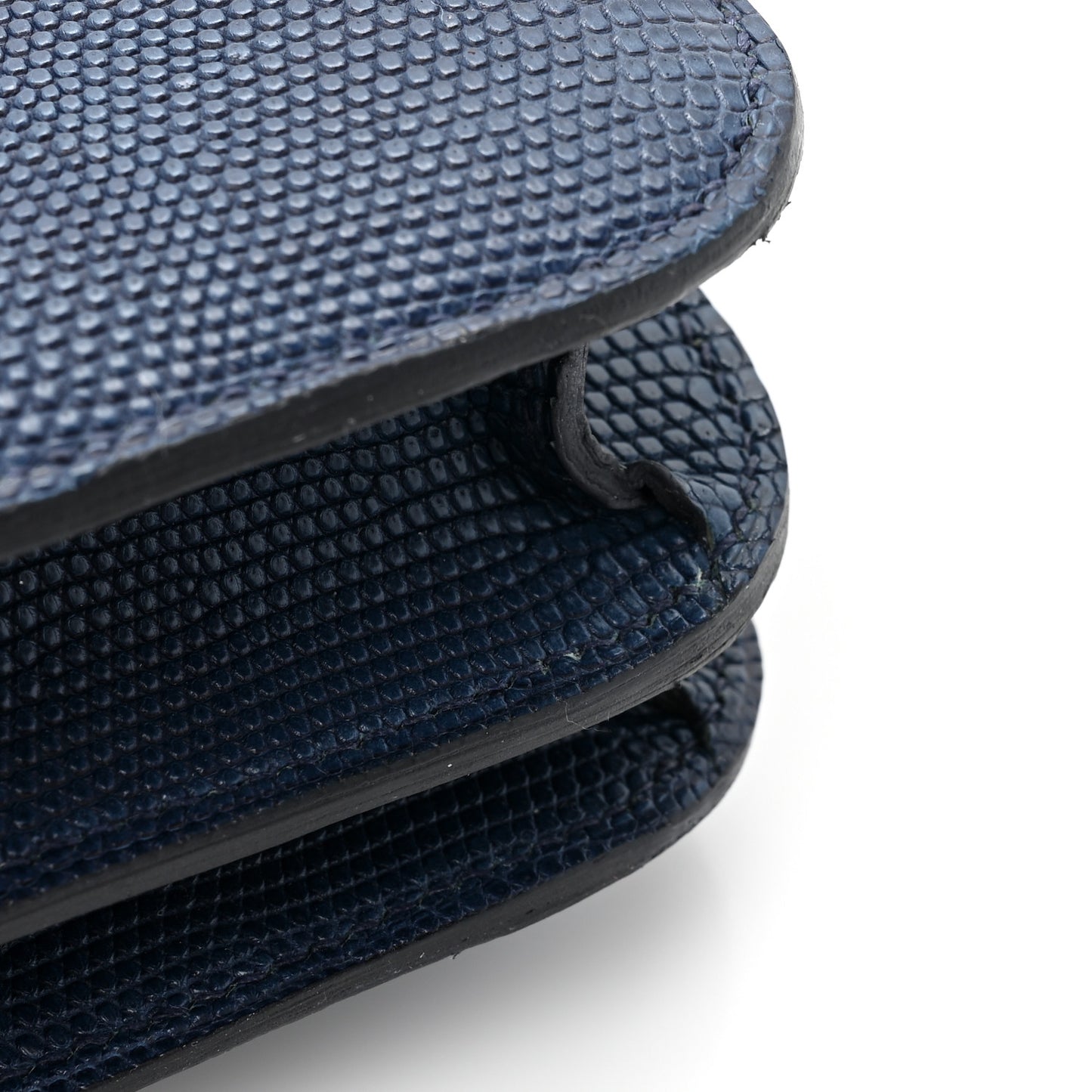 Niloticus Lizard Aizome Constance 18 Tomekon