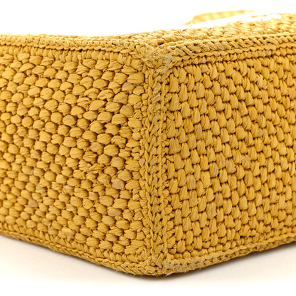 Loewe Raffia Small Paula's Ibiza Logo Tote Ochre 8 of 17