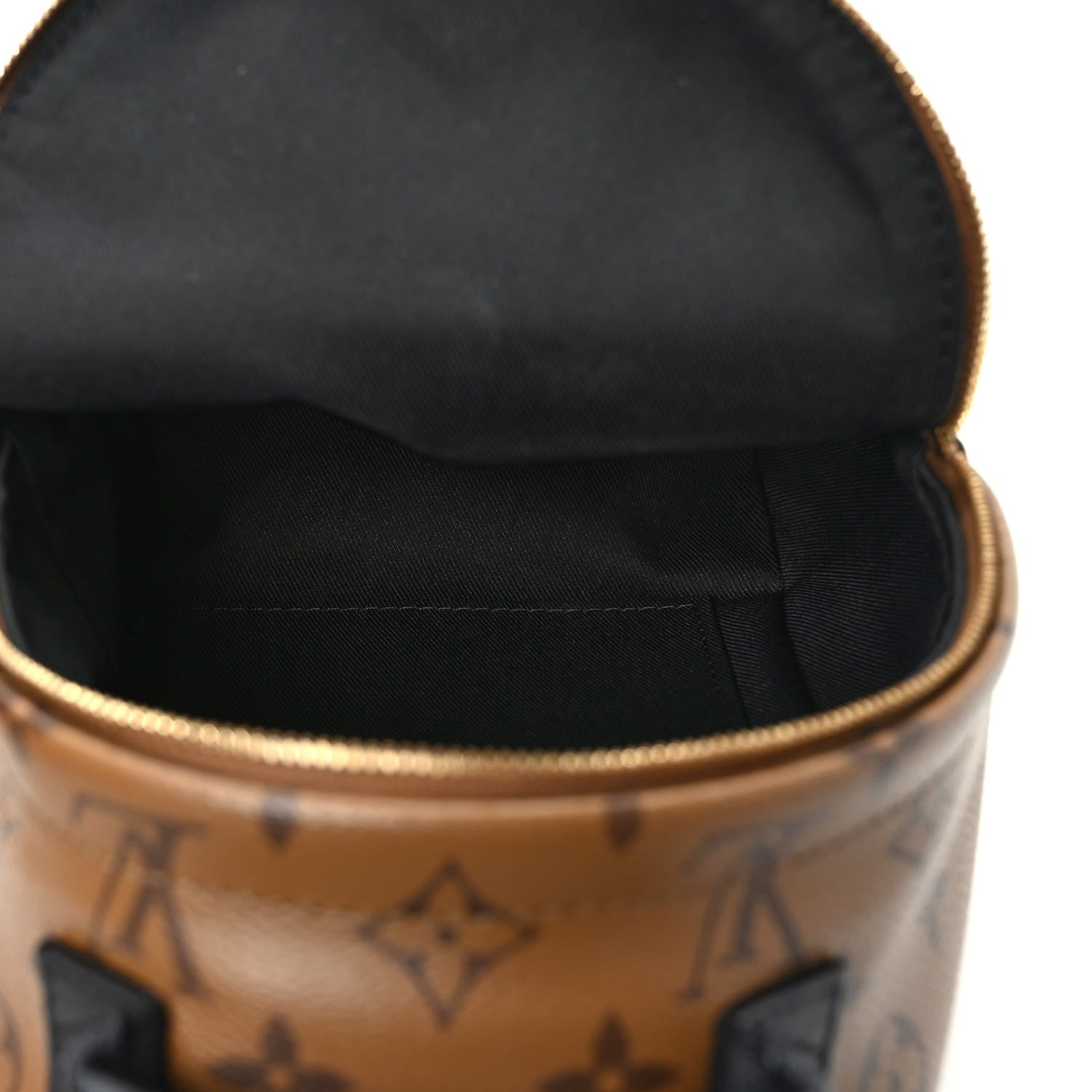 Louis Vuitton Reverse Monogram Palm Springs Backpack Mini 5 of 8