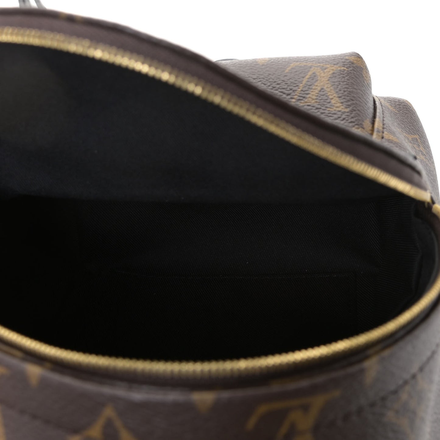 Monogram Palm Springs Backpack Mini
