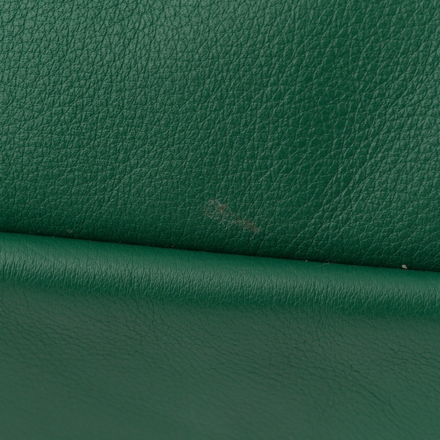 Goyardine Reversible Mini Anjou Green