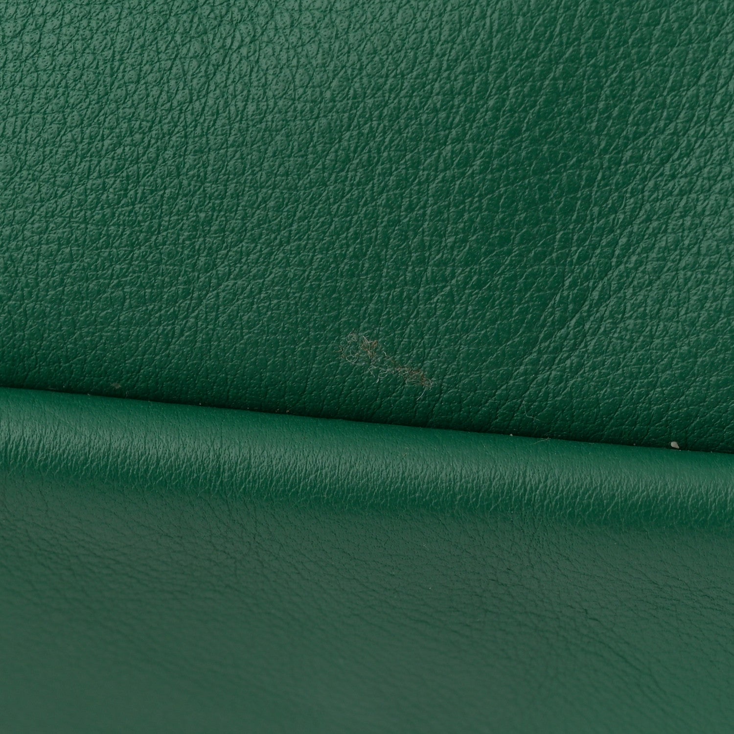 Goyard Goyardine Reversible Mini Anjou Green 20 of 20