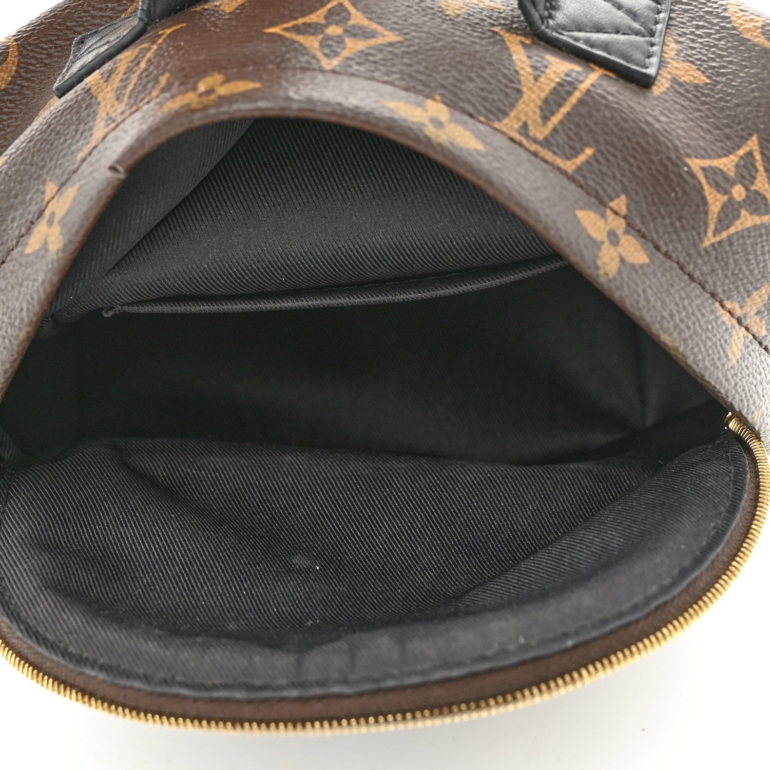Louis Vuitton Monogram Palm Springs Backpack Mini 5 of 11