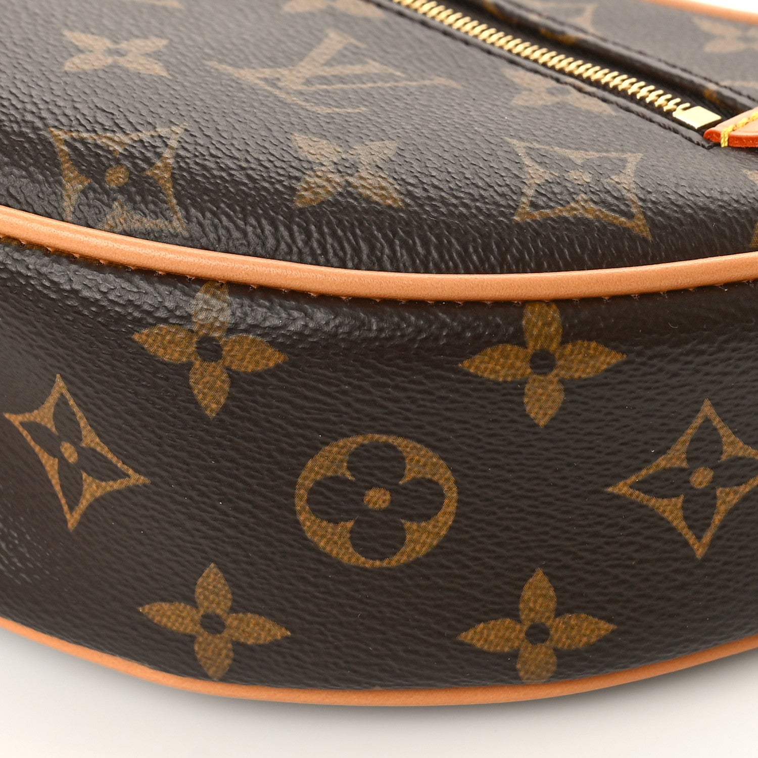 Louis Vuitton Monogram Loop 8 of 9